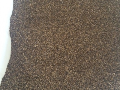 [將軍菊苣]將軍菊苣種子價(jià)格_播種方法