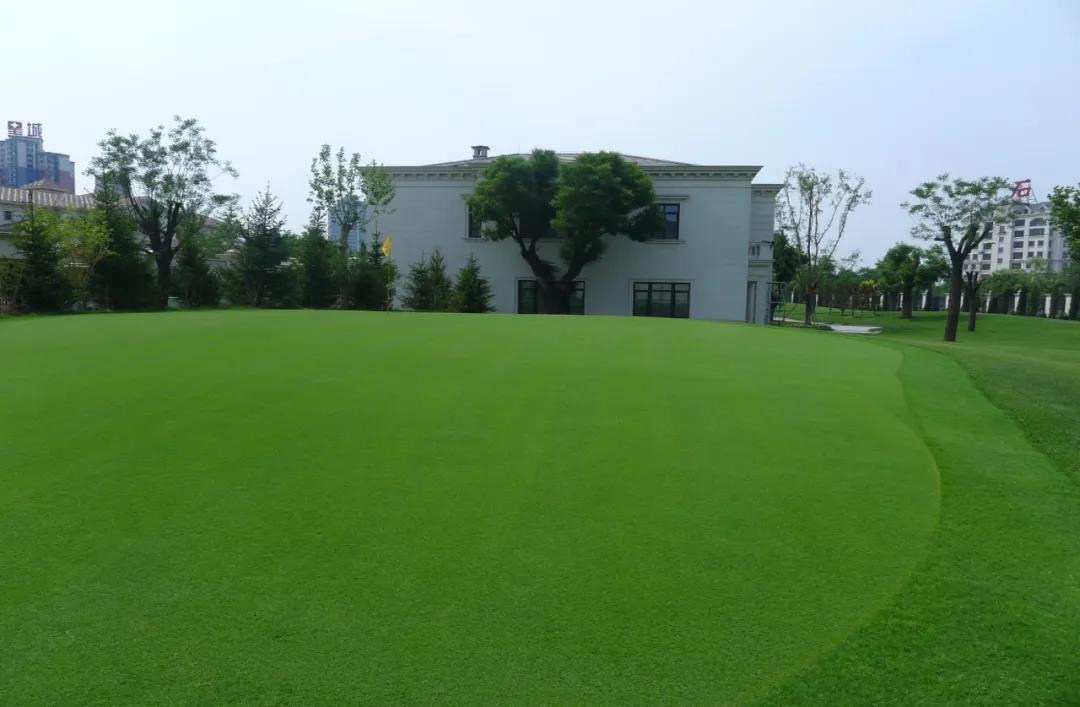 草坪如何才能美如畫(huà)，需要這幾個(gè)步驟