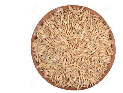 燕麥?zhǔn)鞘裁矗垦帑満唵谓榻B