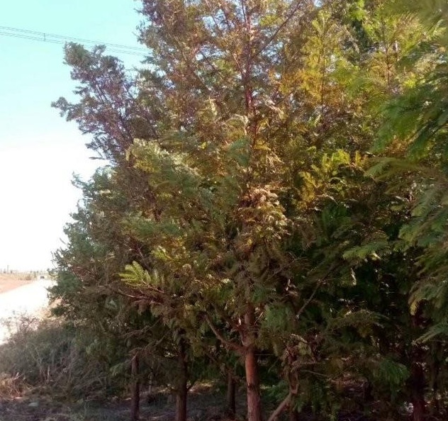 1629269459288497.jpg RQG[SJQ02%UQZV_)FDT(2JC.jpg