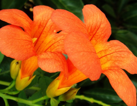 1629882036787210.jpg image.jpg