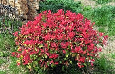 1630072714606451.jpg 1630072714606451.jpg