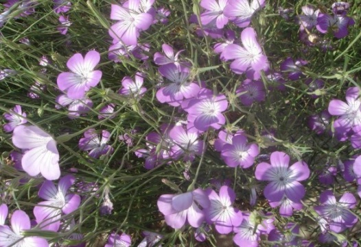 1630236781720524.jpg image.jpg