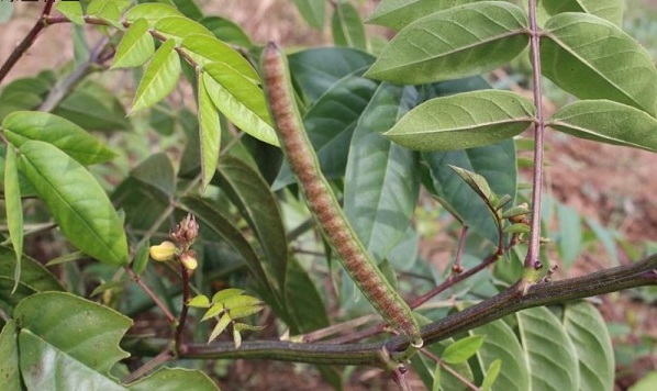 1630240659734034.jpg image.jpg