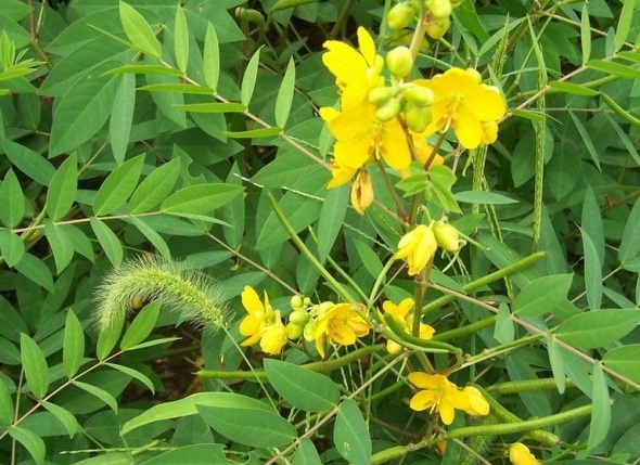 1630240685649718.jpg image.jpg