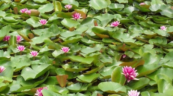 1630241227678019.jpg image.jpg