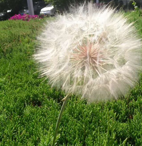 1630418206646754.jpg image.jpg