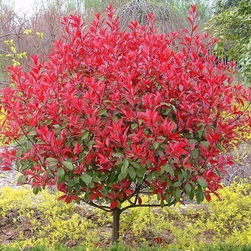 1630758903319623.jpg 1630758903319623.jpg