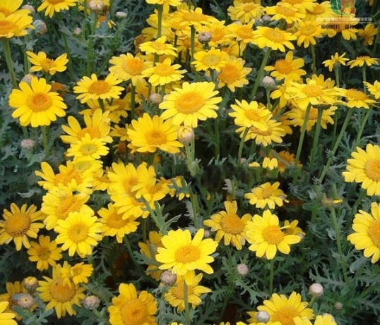 1630909693525368.jpg image.jpg