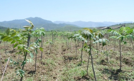 1630911830368224.jpg image.jpg