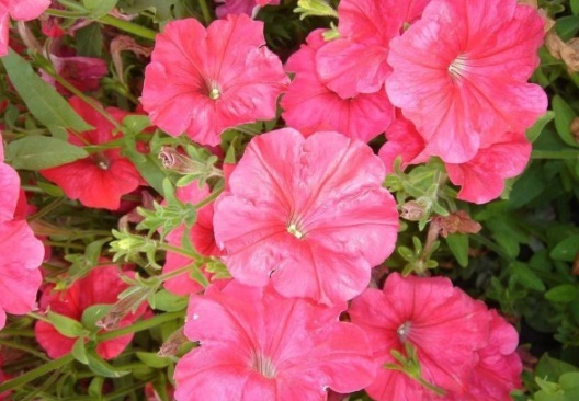 1630918323664689.jpg image.jpg