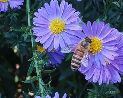 1631065474453108.jpg image.jpg