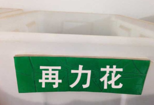 1631082518408114.jpg image.jpg