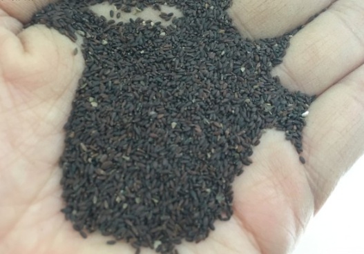 1631082530727921.jpg image.jpg