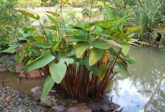 1631082543130436.jpg image.jpg