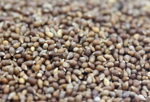 1631088843204967.jpg image.jpg