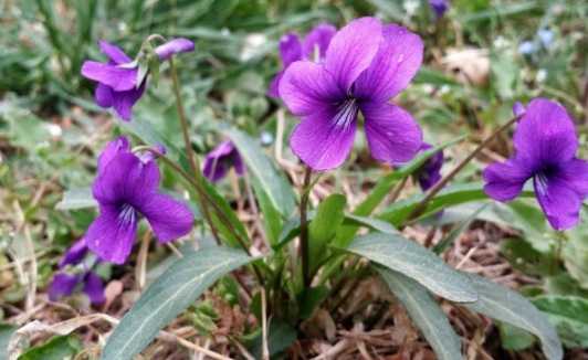 1631088859922795.jpg image.jpg