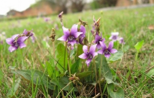 1631088871614737.jpg image.jpg