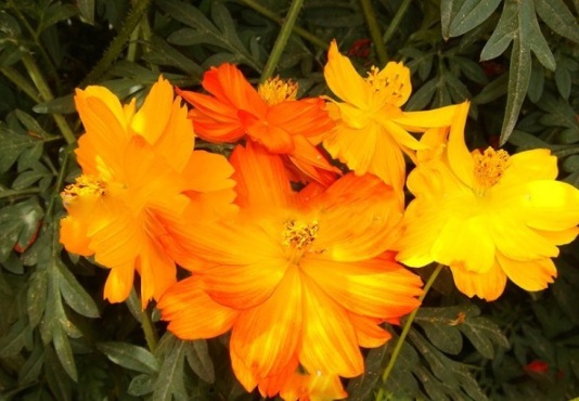 1631158630438674.jpg image.jpg