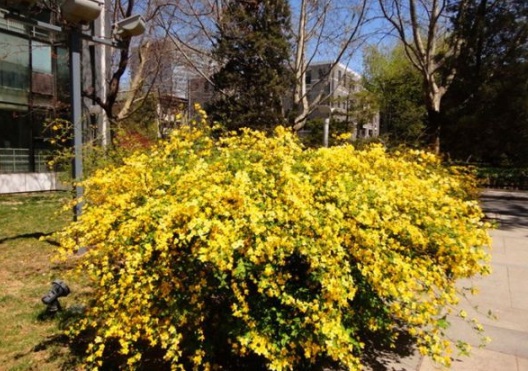 1631159493113747.jpg image.jpg