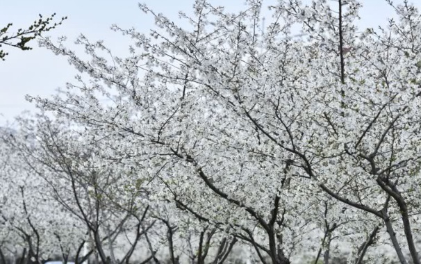 1631173717613276.jpg 1631173717613276.jpg