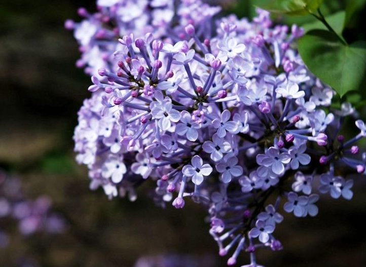 1631372153983423.jpg 1631372153983423.jpg