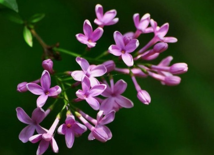 1631372178705380.jpg 1631372178705380.jpg