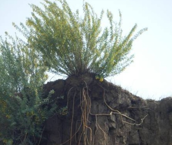 1631437736171779.jpg image.jpg