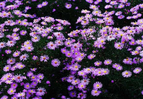 1631441648319580.jpg 1631441648319580.jpg