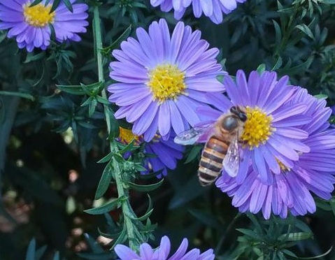 1631441657253710.jpg 1631441657253710.jpg