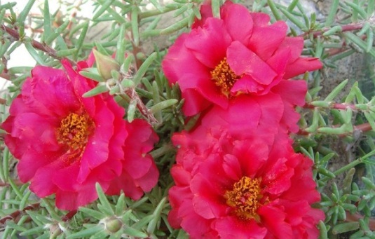 1631607364147907.jpg image.jpg