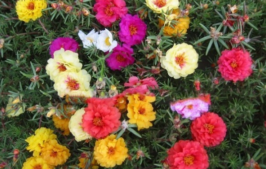 1631607374817575.jpg image.jpg