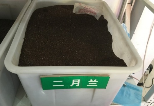 1631787196353814.jpg image.jpg