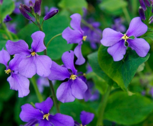 1631787956780661.jpg image.jpg