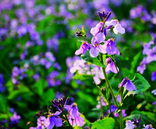 1631789613361292.jpg image.jpg