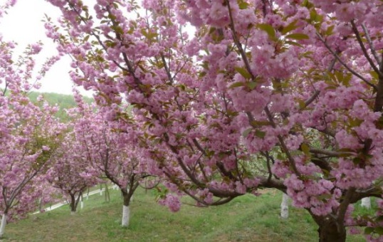 1631790091222382.jpg image.jpg