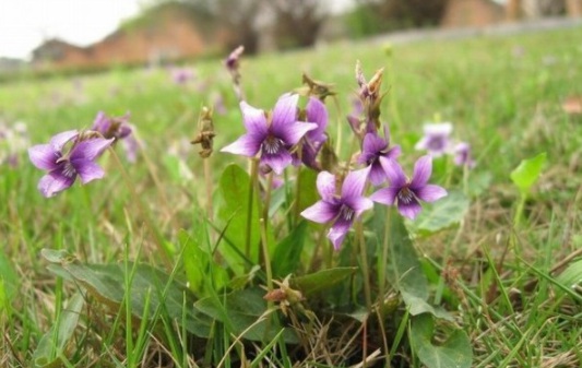 1631798298961503.jpg 1631798298961503.jpg