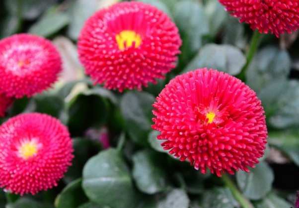 1632273843173389.jpg image.jpg