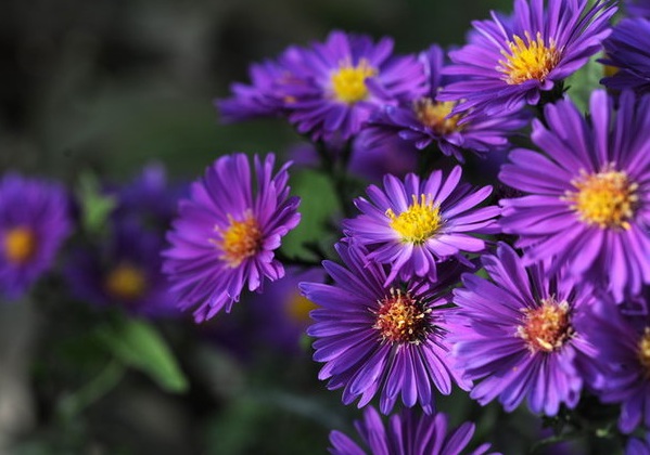 1632273853486600.jpg image.jpg