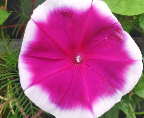 1632450358687163.jpg image.jpg