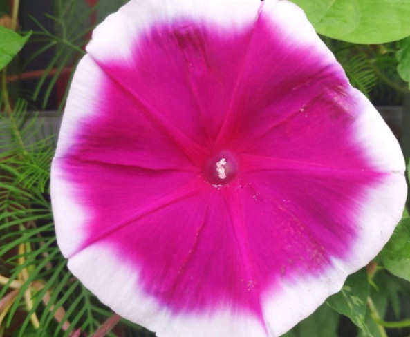 1632450419401610.jpg image.jpg