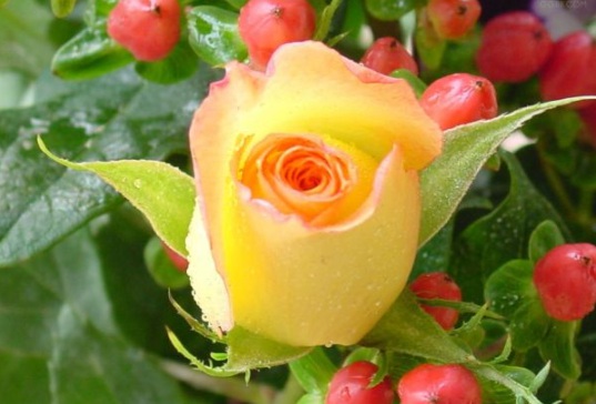 1632450684383150.jpg image.jpg