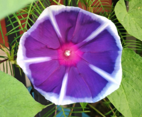 1632450872400401.jpg image.jpg