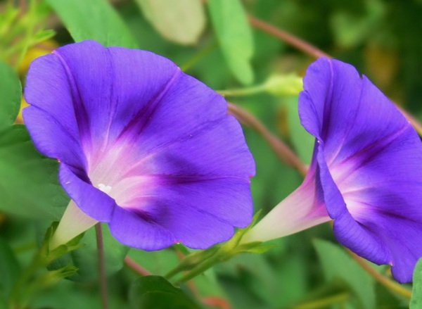 1632580274645905.jpg image.jpg