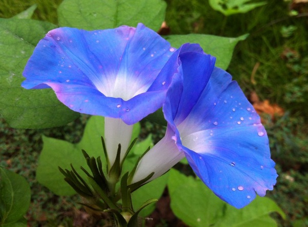 1632580316540200.jpg image.jpg