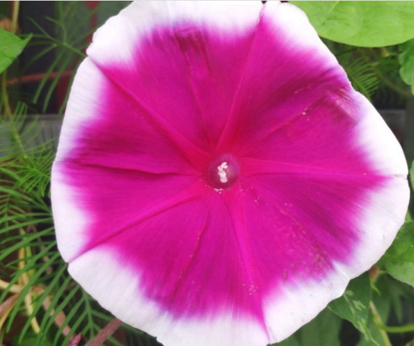 1632825229330952.jpg image.jpg