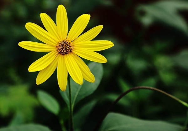 1632875793587844.jpg image.jpg