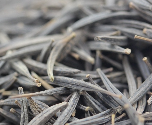 1632963903740464.jpg image.jpg