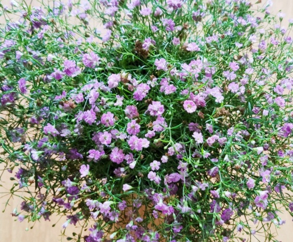 1632979482653030.jpg image.jpg