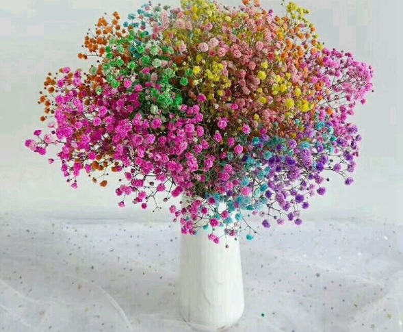 1632979531147077.jpg image.jpg